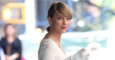 //taylor cat header