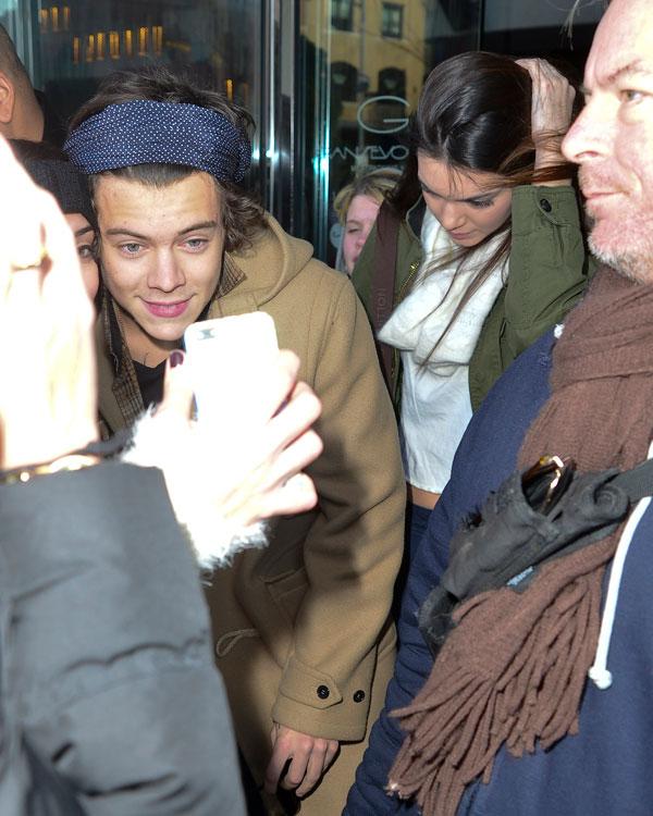 Kendall jenner family worries harry styles 05