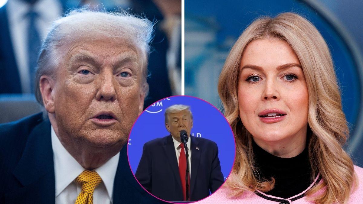 karoline leavitt defends trump greenland gaffe