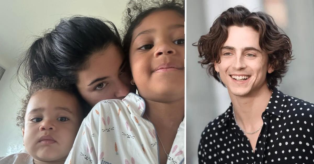 Timothee Chalamet Is 'Great' With Kylie Jenner's 2 Kids