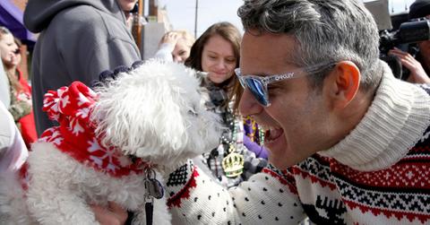 Andy cohen
