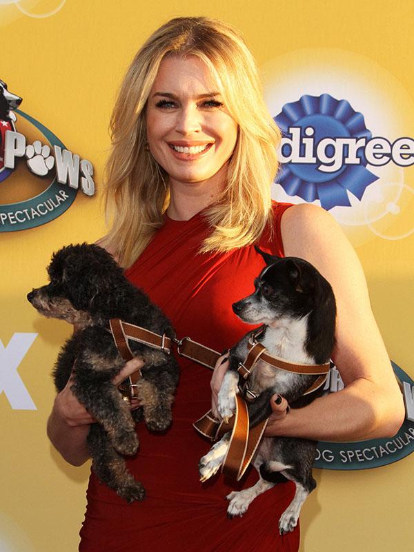 FOX’s Cause For Paws: An All Star Dog Spectacular