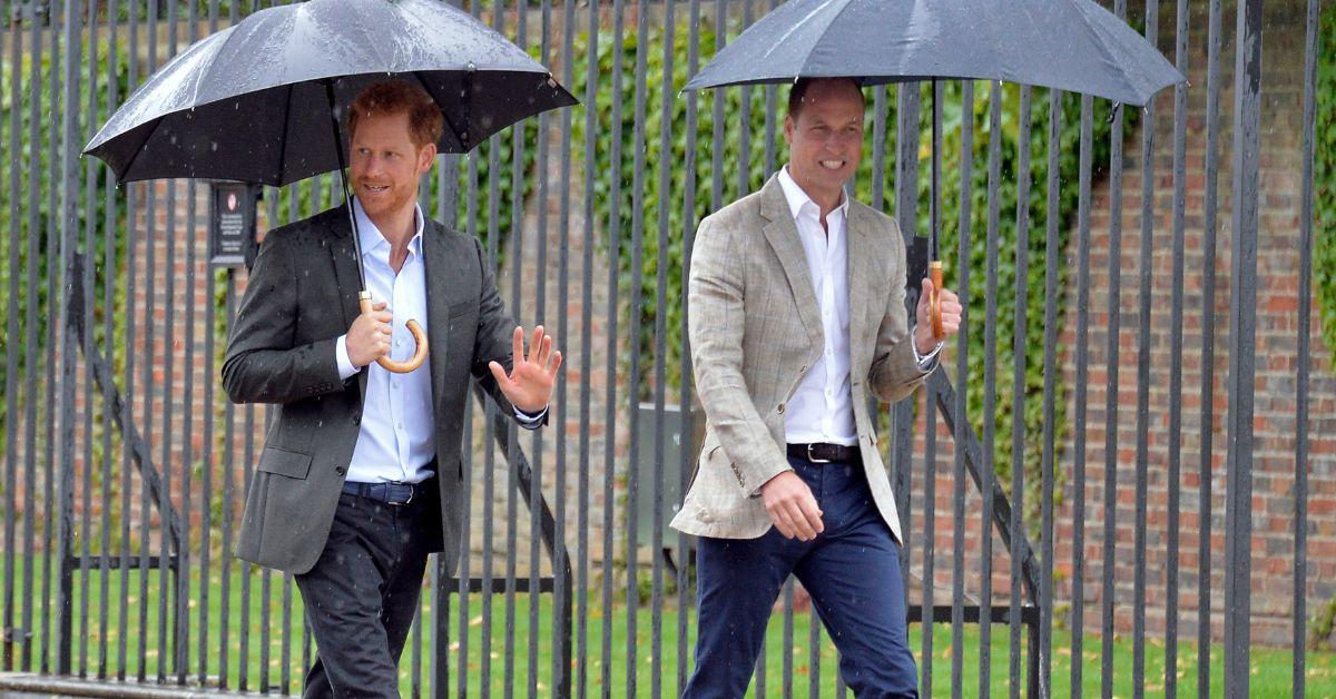 prince williams love princess diana not enough end feud prince harry