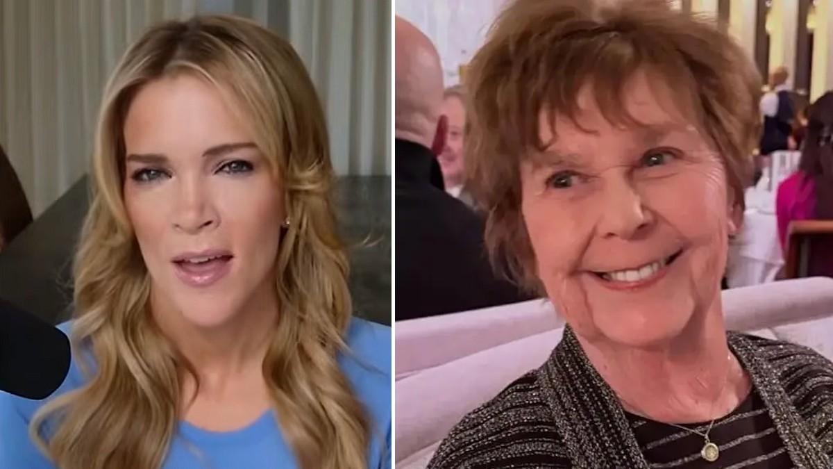 split of Megyn Kelly and Nancy Guthrie. 