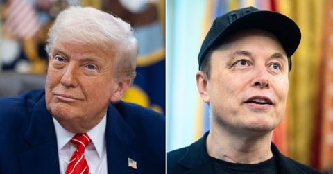 photo of Donald Trump and Elon Musk