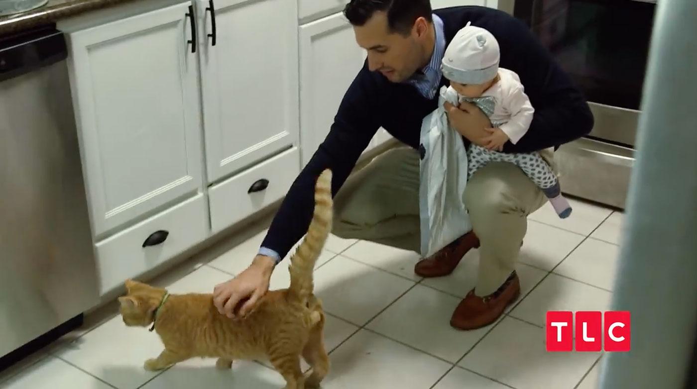 Counting On Jeremy Vuolo Felicity cat