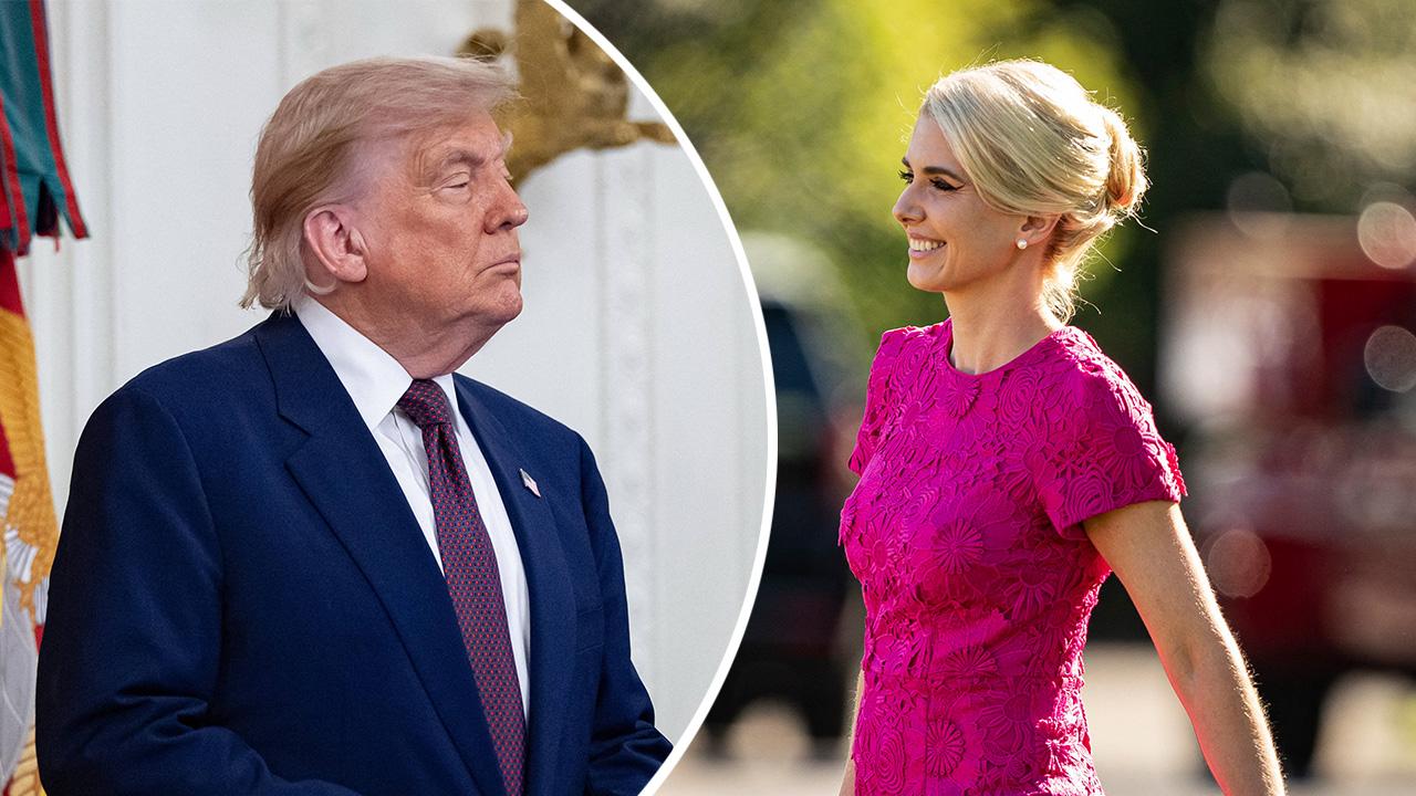 Donald Trump,Natalie Harp