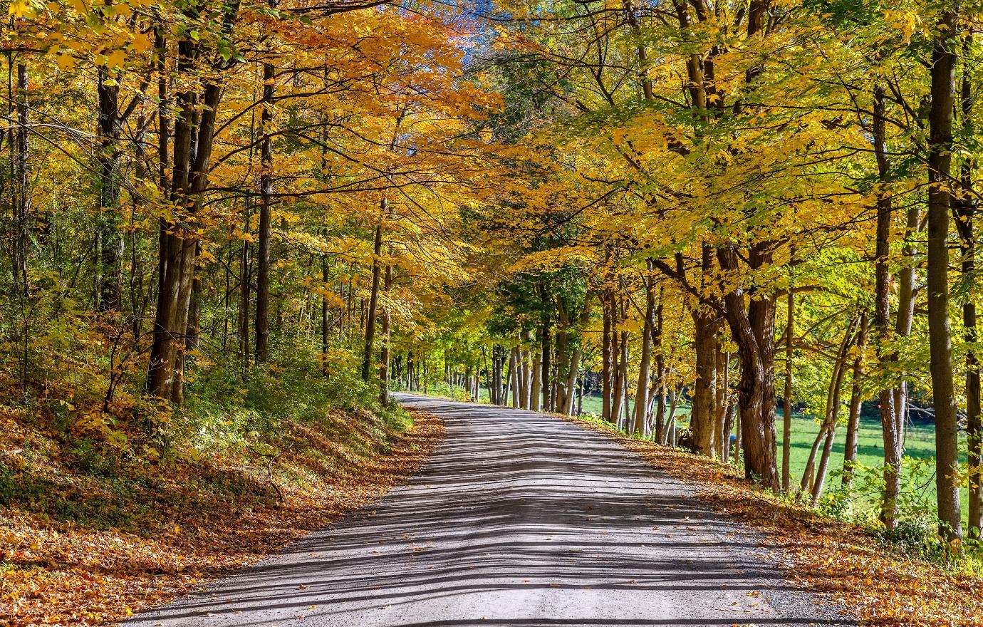 Fall in New England