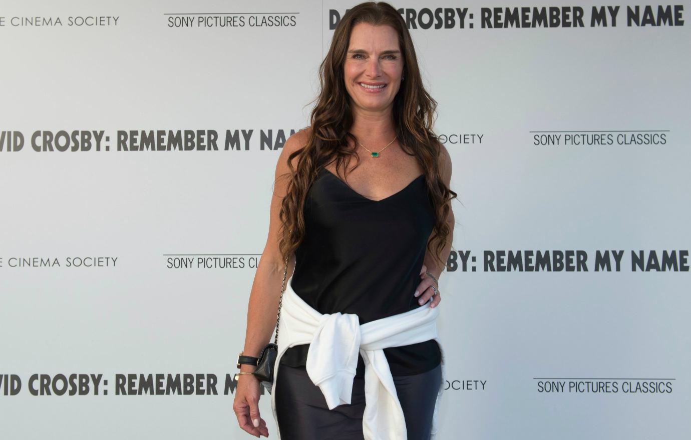 //postpartum brooke shields