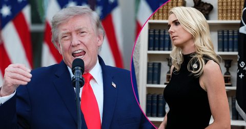 Composite photo of Donald Trump and Natalie Harp