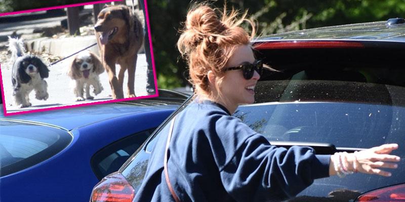 julianne hough dog mom hike pics pp