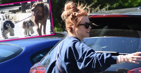 julianne hough dog mom hike pics pp