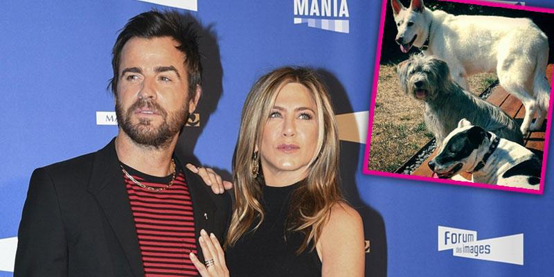 jennifer aniston justin theroux dogs custody battle pp