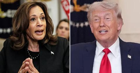 Photo of Kamala Harris and Donald Trump