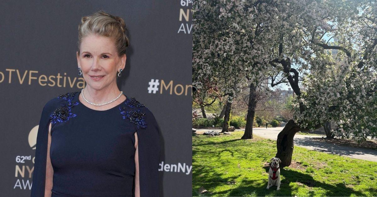Composite photos of Melissa Gilbert and Her Shot of Upstate New York