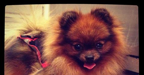 Kelly Osbourne – Story