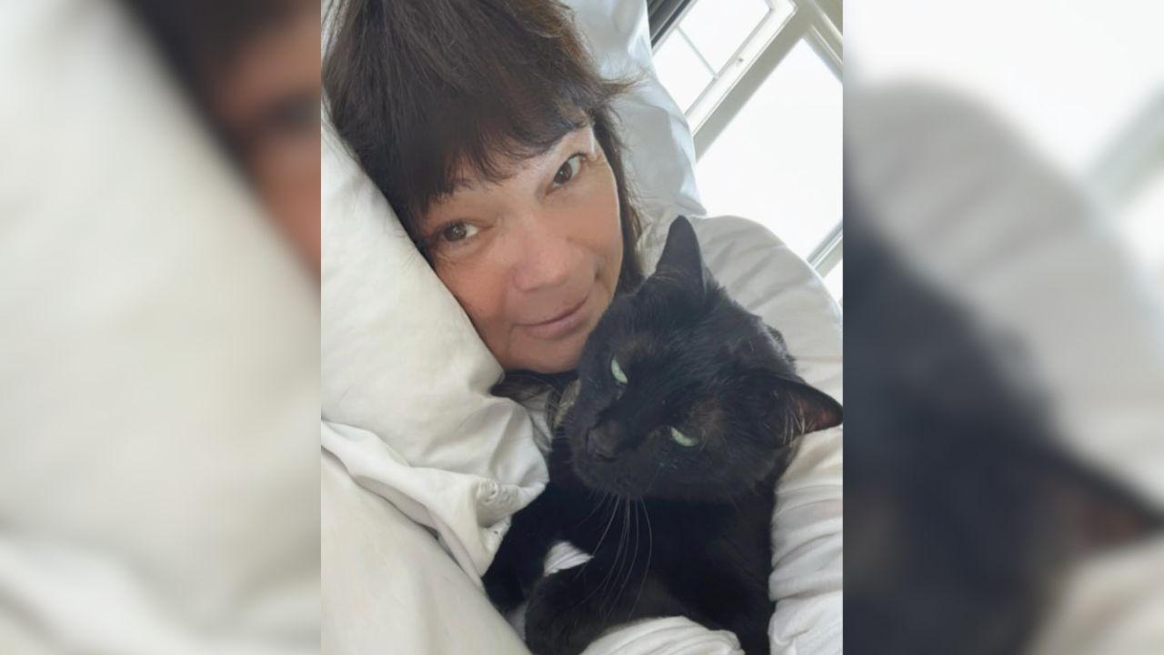 Image of Valerie Bertinelli joked that her cat Batman is currently her preferred companion.