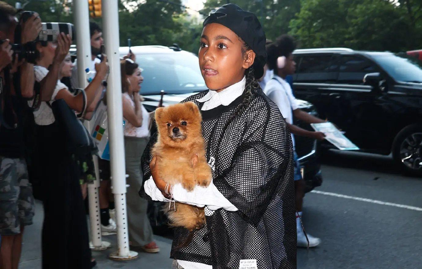 phony kim kardashian accused using family rarely seen dog campaign