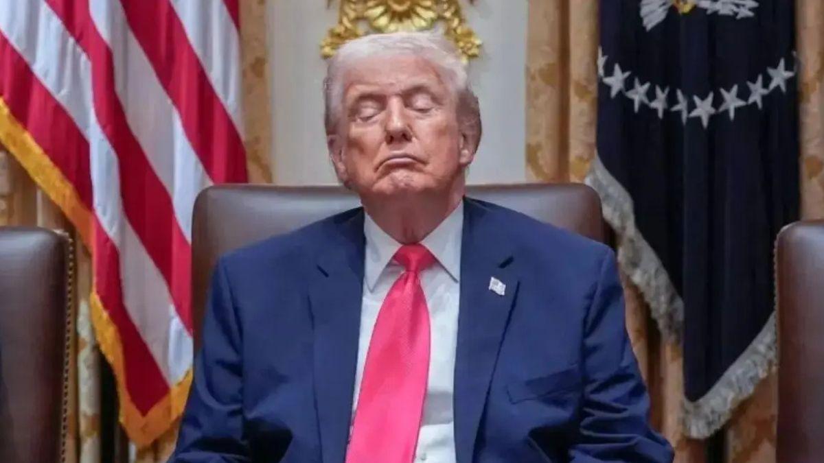 image of Donald trump 
