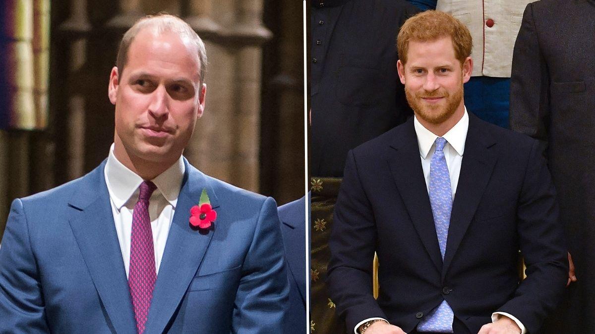 image of William and harry 