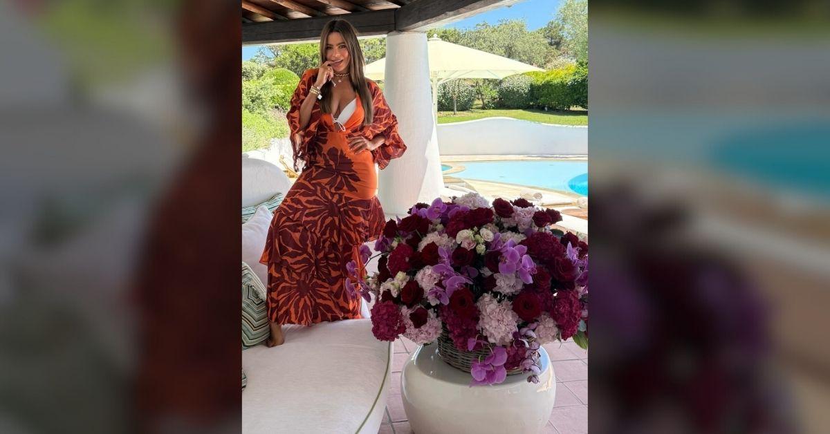 image Sofia Vergara has been married twice in the past.