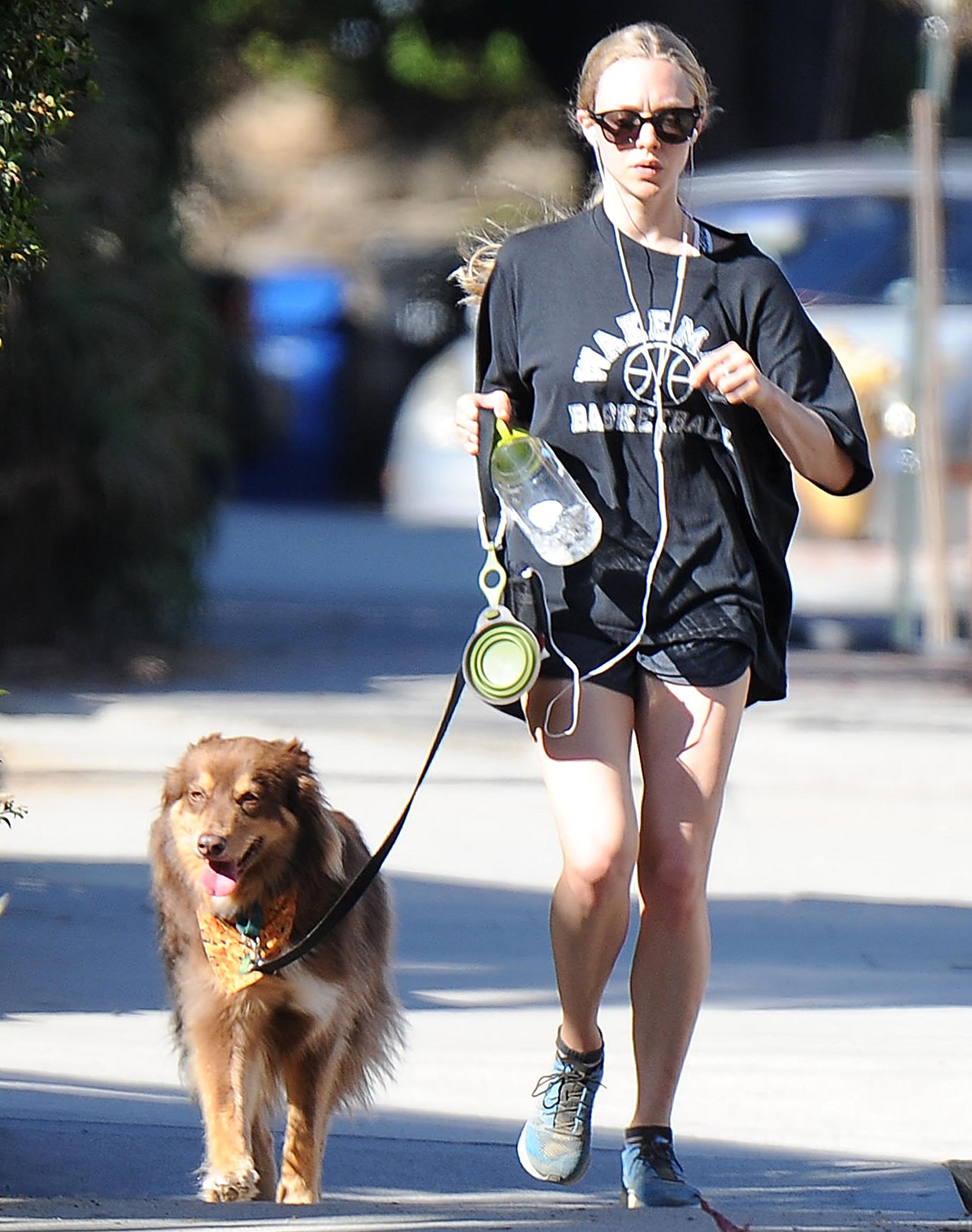 Amanda Seyfried goes hiking with her dog in Los Angeles****NO DAILY MAIL SALES****