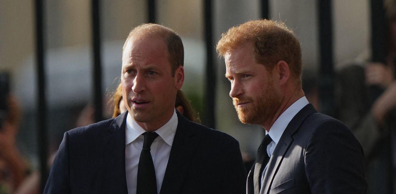 prince harry prince william reunion robert fellowes funeral shows damage done