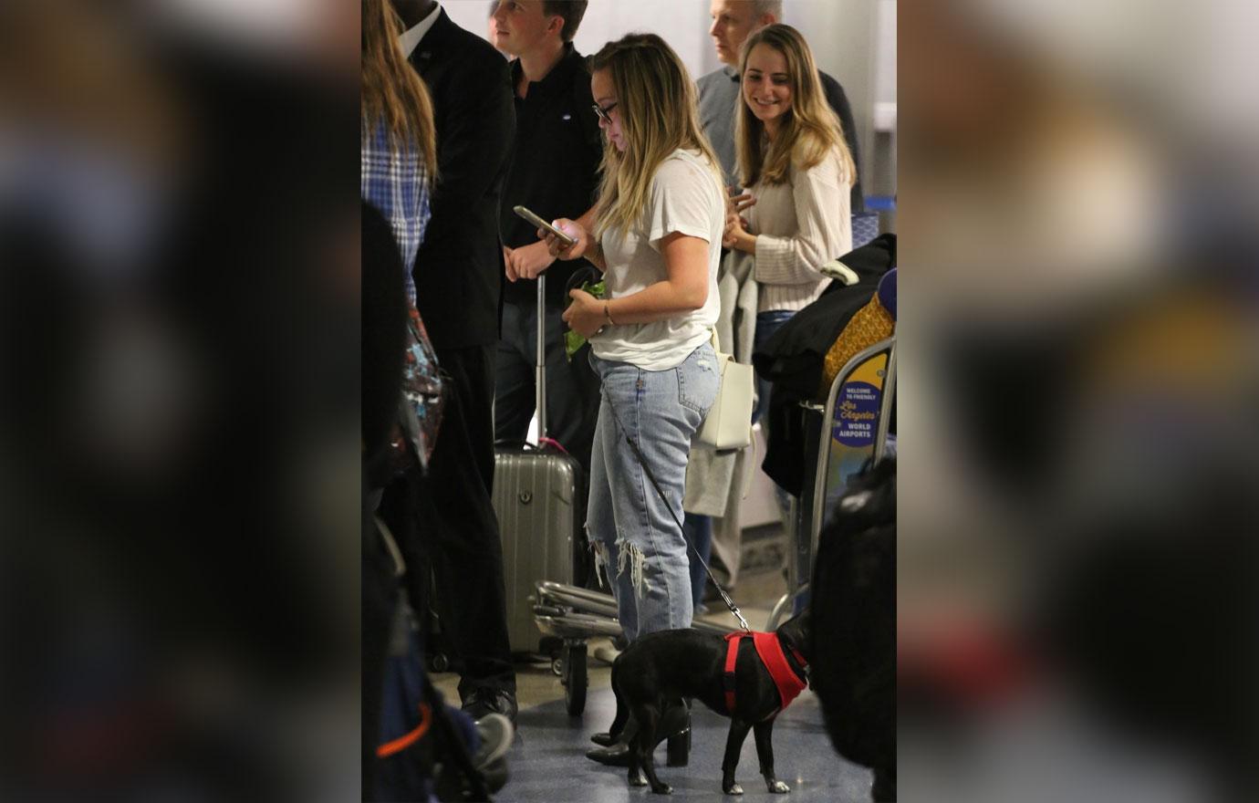 Hilary Duff boards her flight with an adorable puppy at LAX