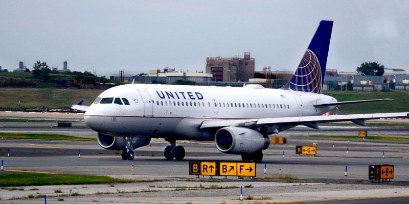 united airlines bans dogs cats after pet deaths pp