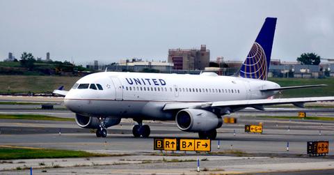 united airlines bans dogs cats after pet deaths pp