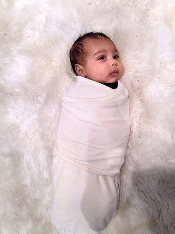 North west cooler 10