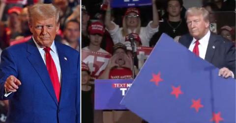 Composite photo of Donald Trump.