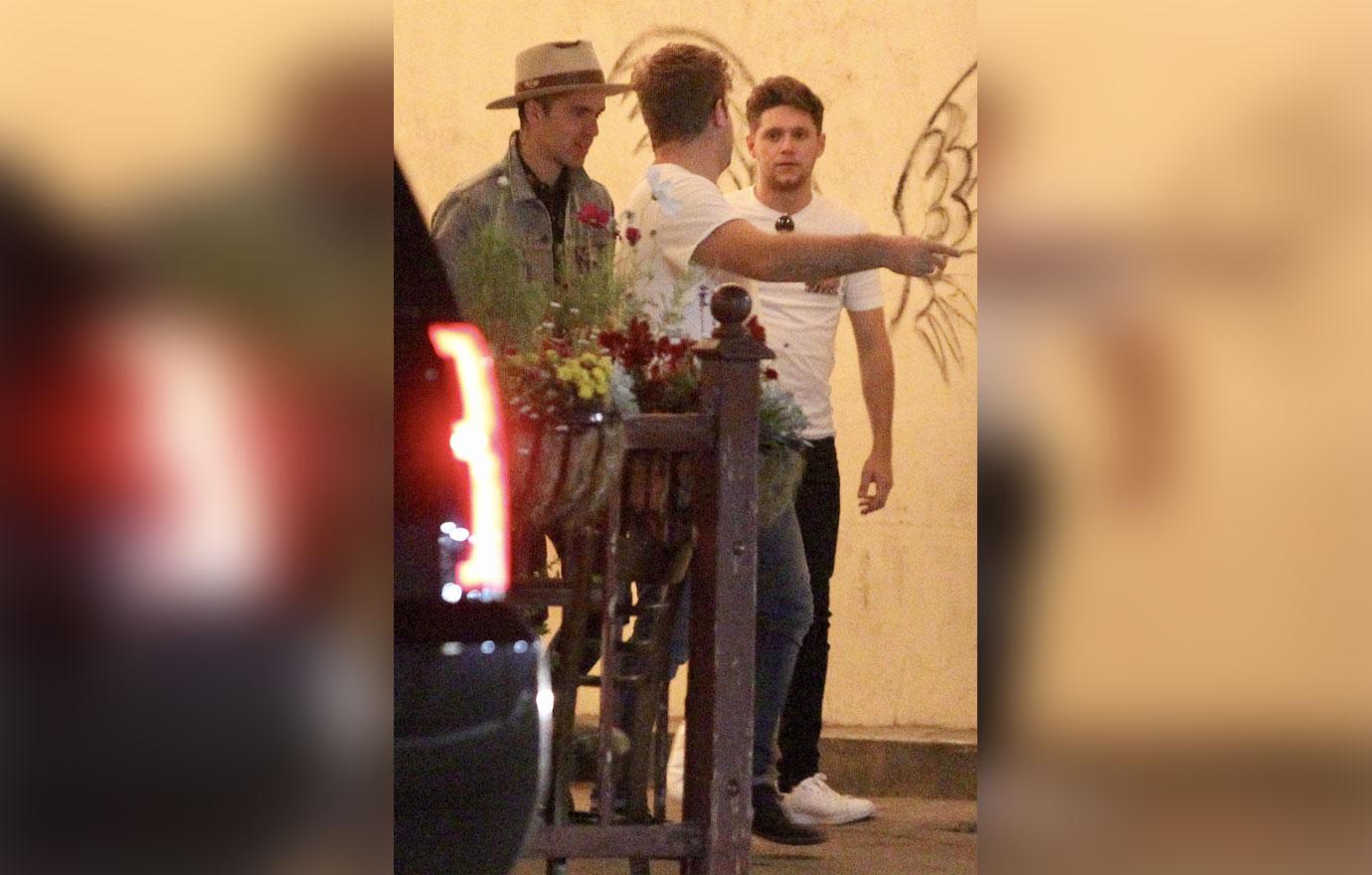 *EXCLUSIVE* Niall Horan and Shawn Mendes spend a night out in Los Feliz