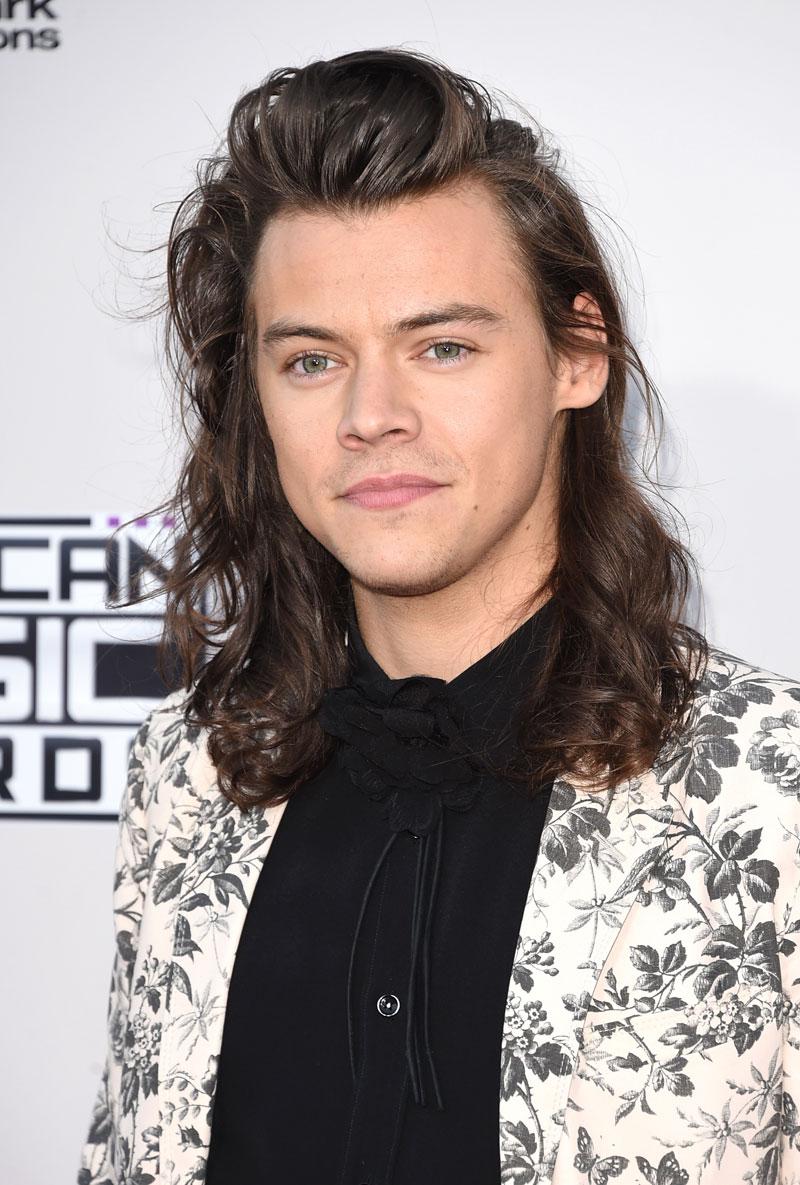 2015 American Music Awards &#8211; Arrivals