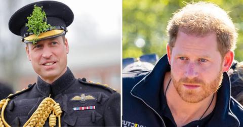 prince william harry pp