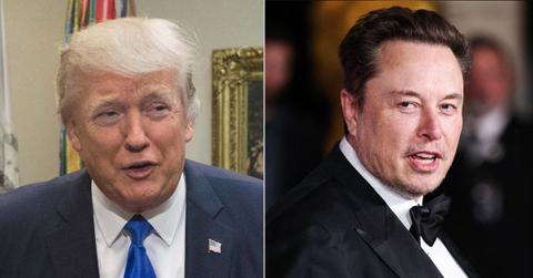 Composite photo of Donald Trump and Elon Musk