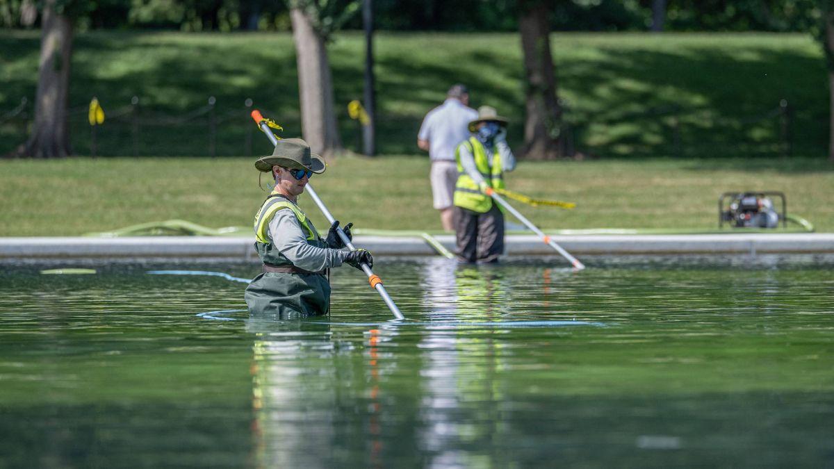 Image of Jimmy Fallon compared the reflecting pool repairs to the senator’s medical procedures.