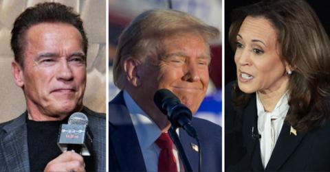 Split photo of Arnold Schwarzenegger, Donald Trump and Kamala Harris