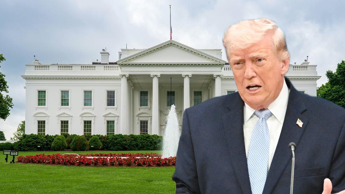 pic of Donald Trump.