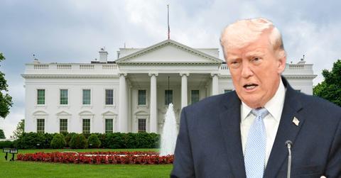 pic of Donald Trump.