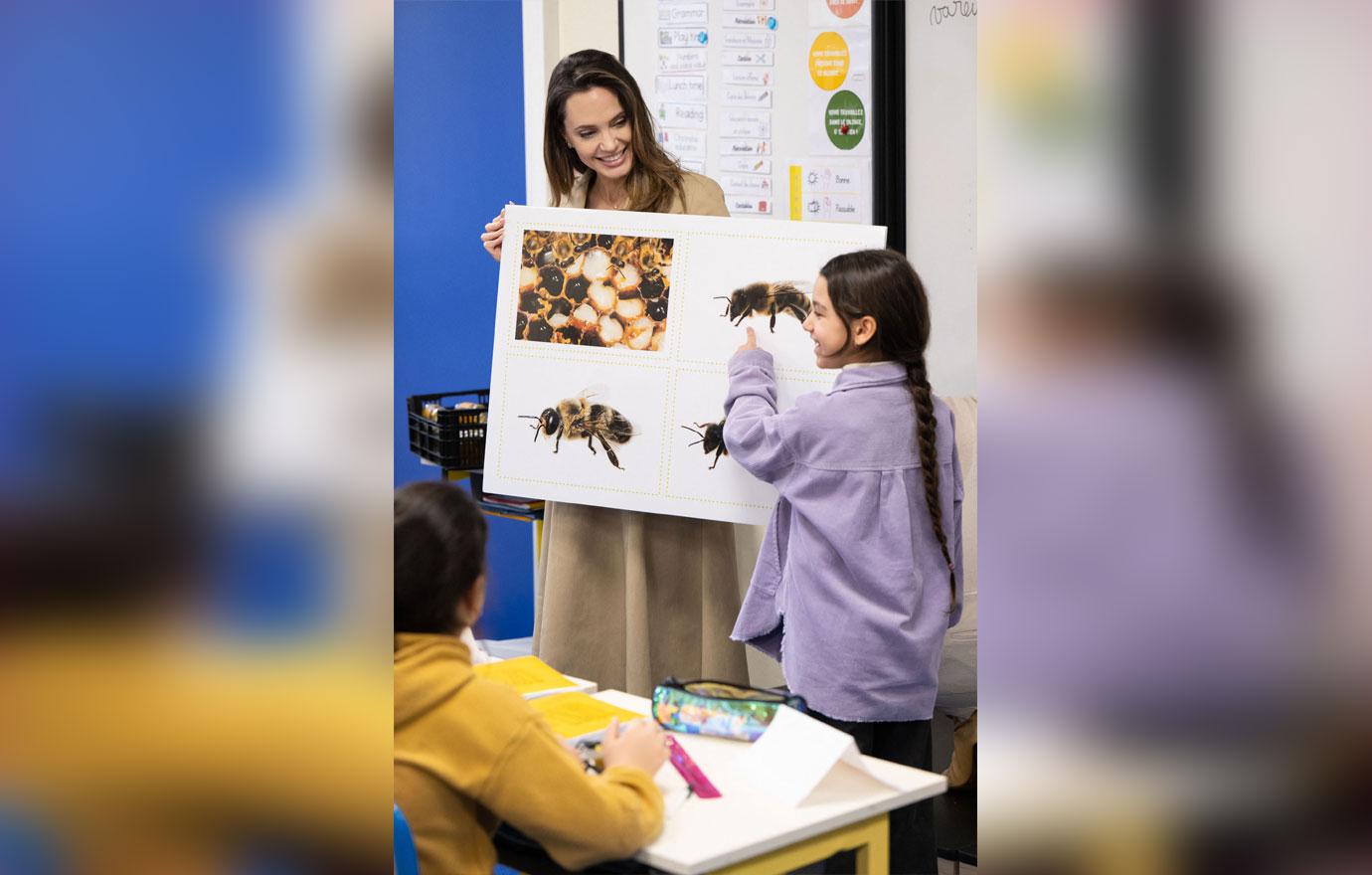 angelina jolie helps show children the environmental importance of bees