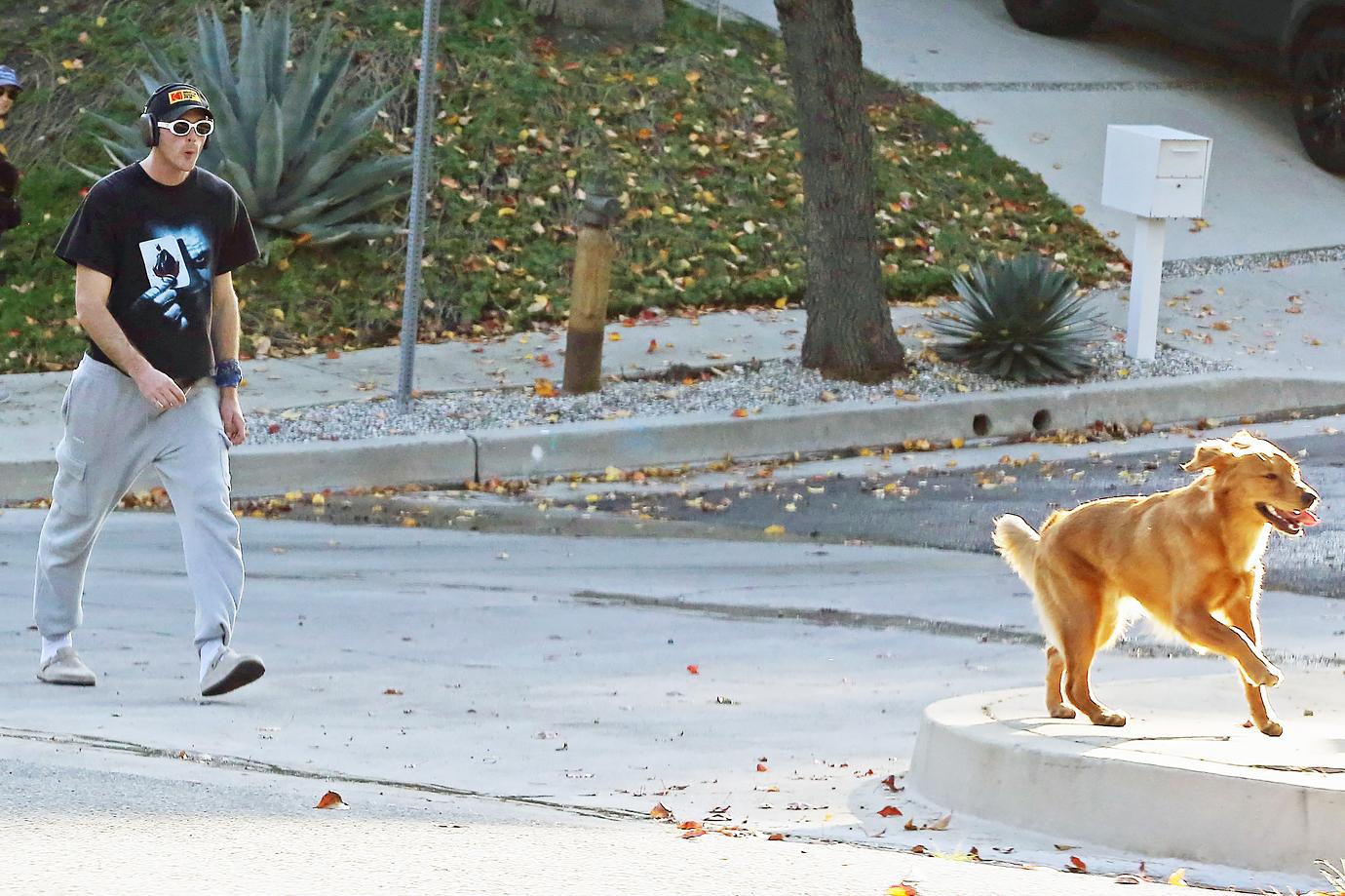 jacob elordi walks dog