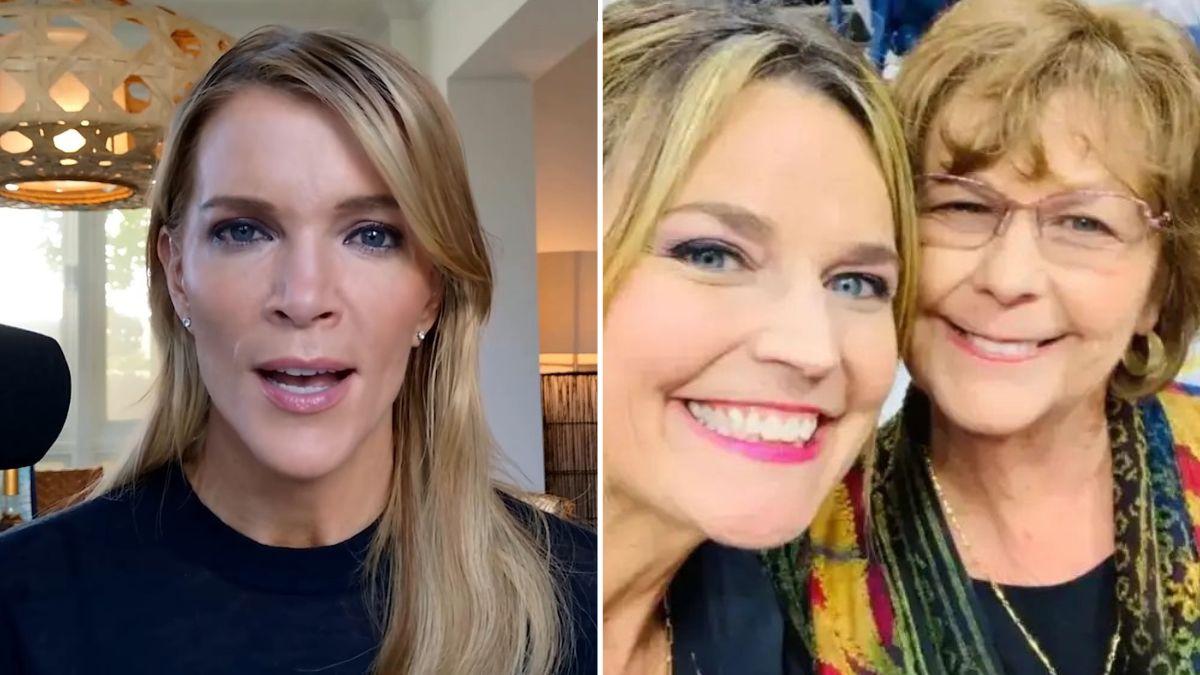 Photo of Megyn Kelly claimed authorities are 'interested' in locating a phone.