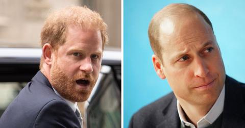 prince harry and prince william