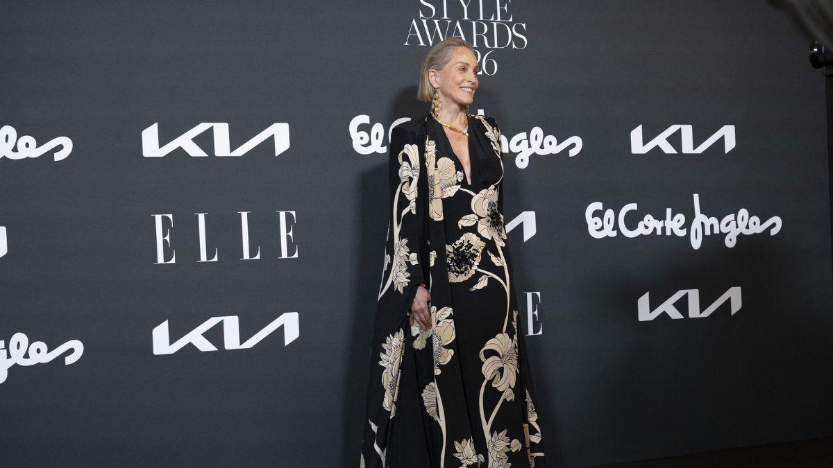 Image of Sharon Stone did not clarify if the incident was domestic violence.