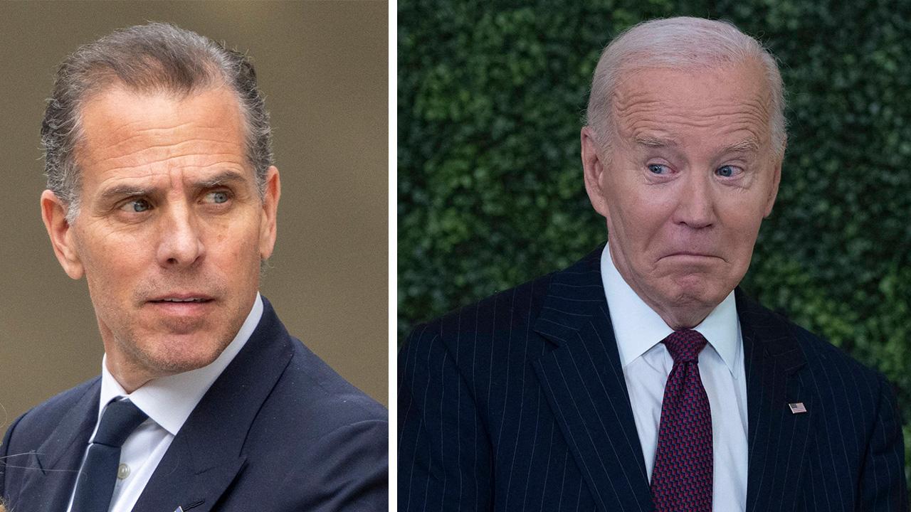 Hunter Biden,Joe Biden