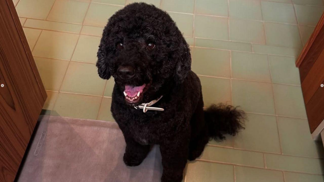 Image of Sunny was reportedly involved in many headline-making incidents.