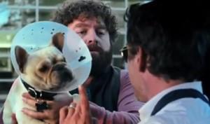 2010__07__Zach_Galifianakis_Robert_Downey_Jr_July16newsne 300&#215;177.jpg