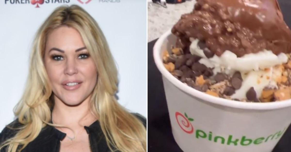 Shanna Moakler Hints At Pregnancy Cravings In Instagram Story