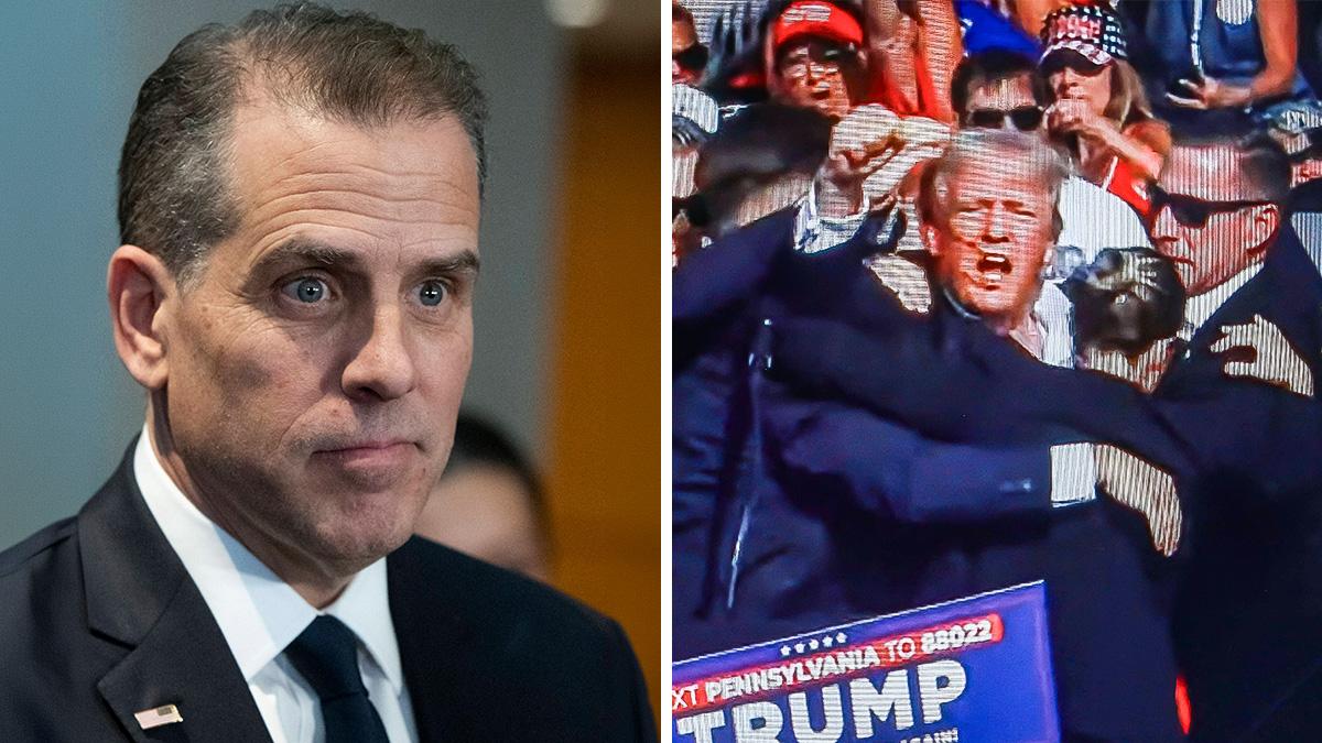 Split photo of Hunter Biden and Donald Trump.